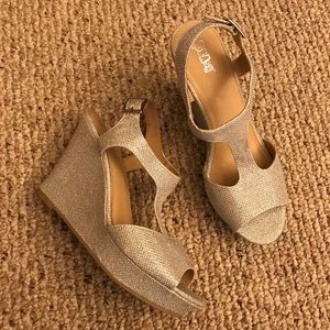 Metallic Wedge Sandals